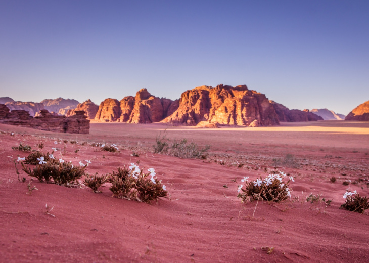 trek jordanie sans guide