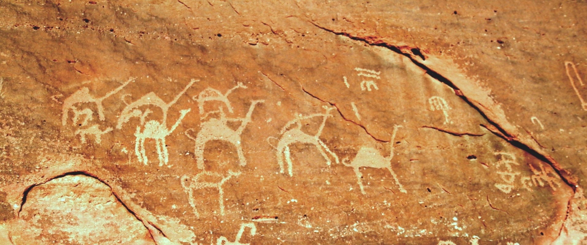 Pétroglyphes du Wadi Rum